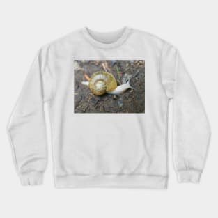 Haplotrema vancouverense snail Crewneck Sweatshirt